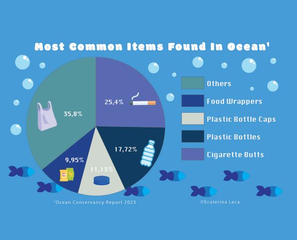 a pie chart graph about the most common object found in the ocean